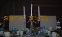 深港产业“双向奔赴” 首届大湾区动漫电玩节闭幕 