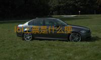 lol上票是什么梗 